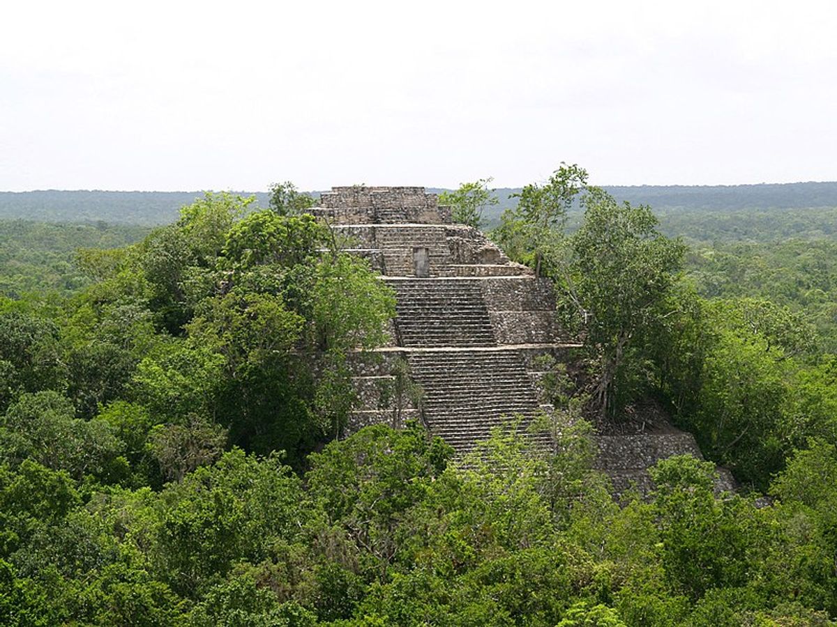 There are no pictures of the newly-discovered city, but its pyramid temples are described as similar to this structure in nearby Calakmul

Wikimedia commons