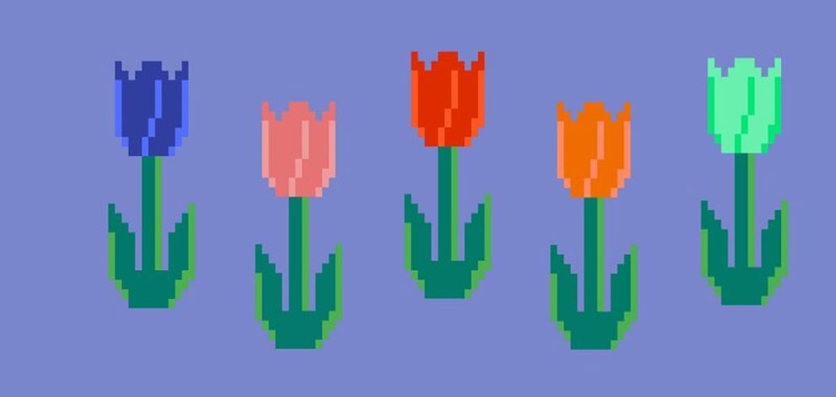 NFTS: a tulip mania price bubble? Image: via Crypto Tulips