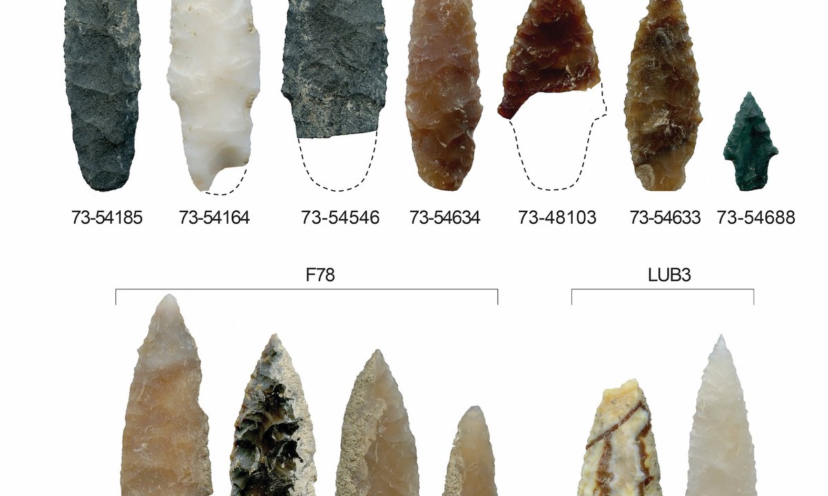 First Americans may have sailed from north-east Asia