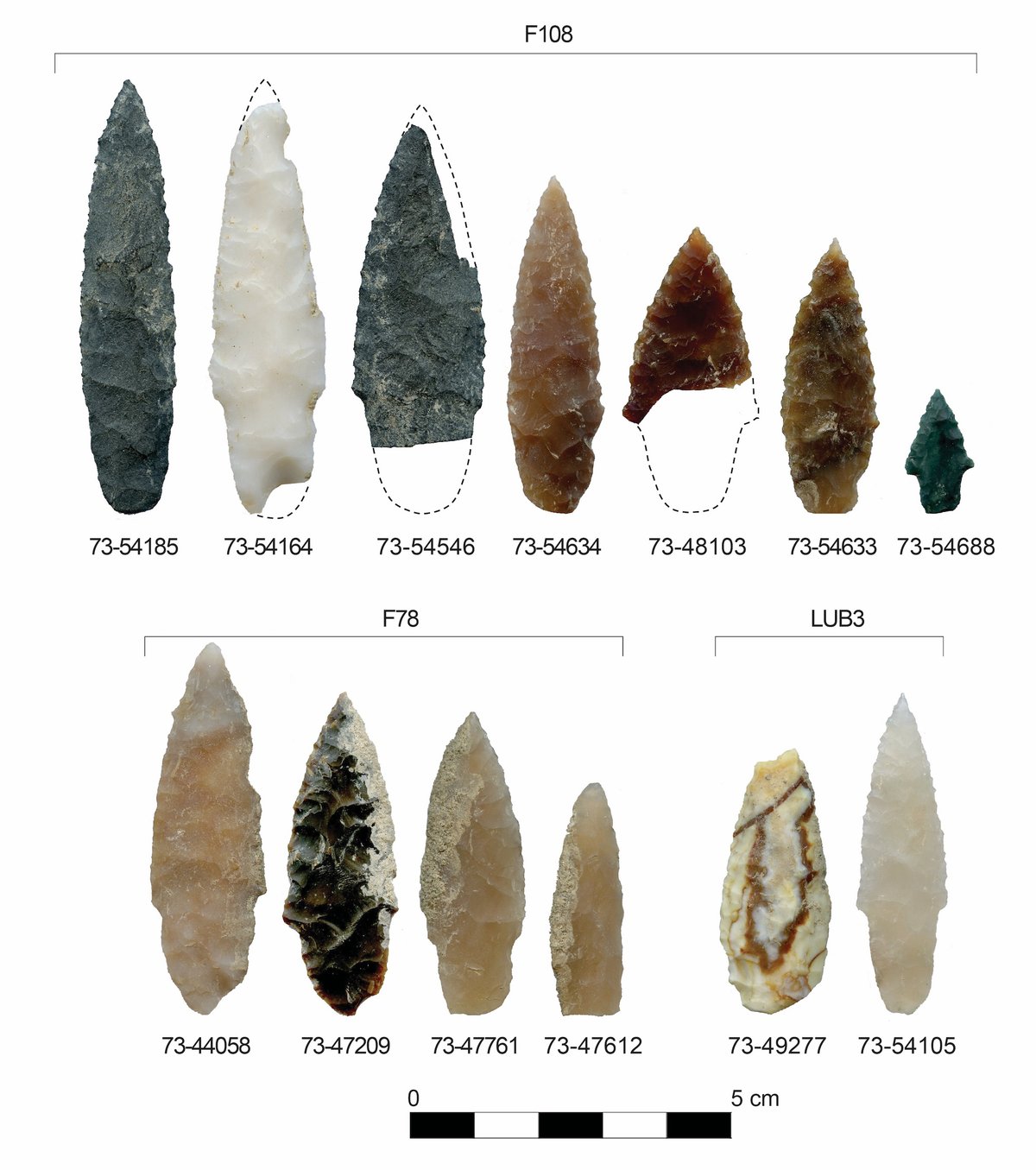 Paleolithic tools analysed by scholars as part of new research published in Science Advances Courtesy Oregon State University, via Flickr