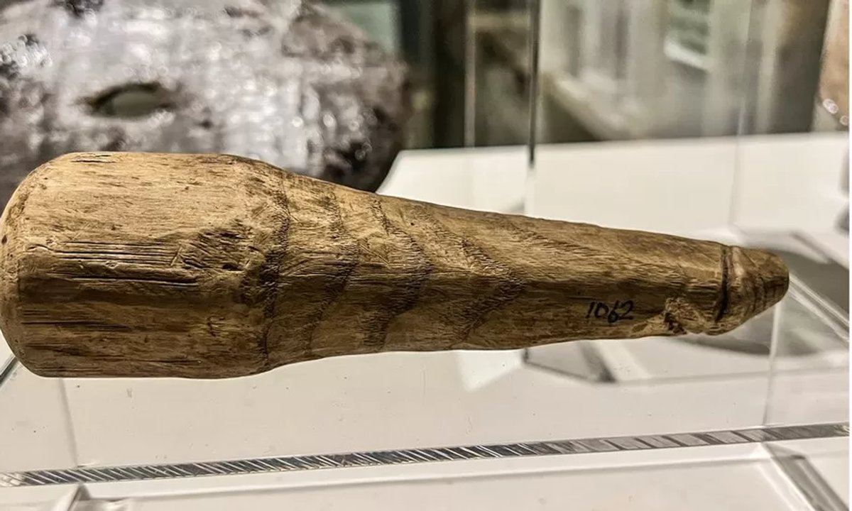 Pestle or dildo? Six-inch picket implement could also be a Roman intercourse toy, say teachers Pestle or dildo? Six-inch picket implement could also be a Roman intercourse toy, say teachers