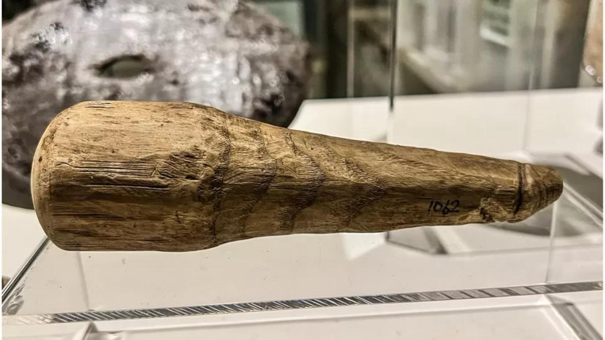 The endowed wooden phallus that might have been used as a sex toy

courtesy The Vindolanda Trust