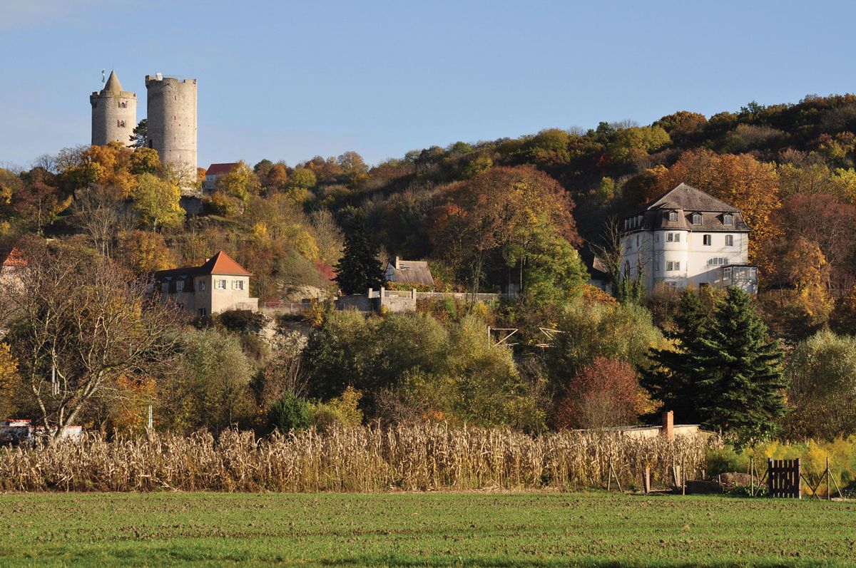 The art collector Egidio Marzona has bought an abandoned castle near the eastern German city of Naumburg Courtesy of Design Academy Saaleck