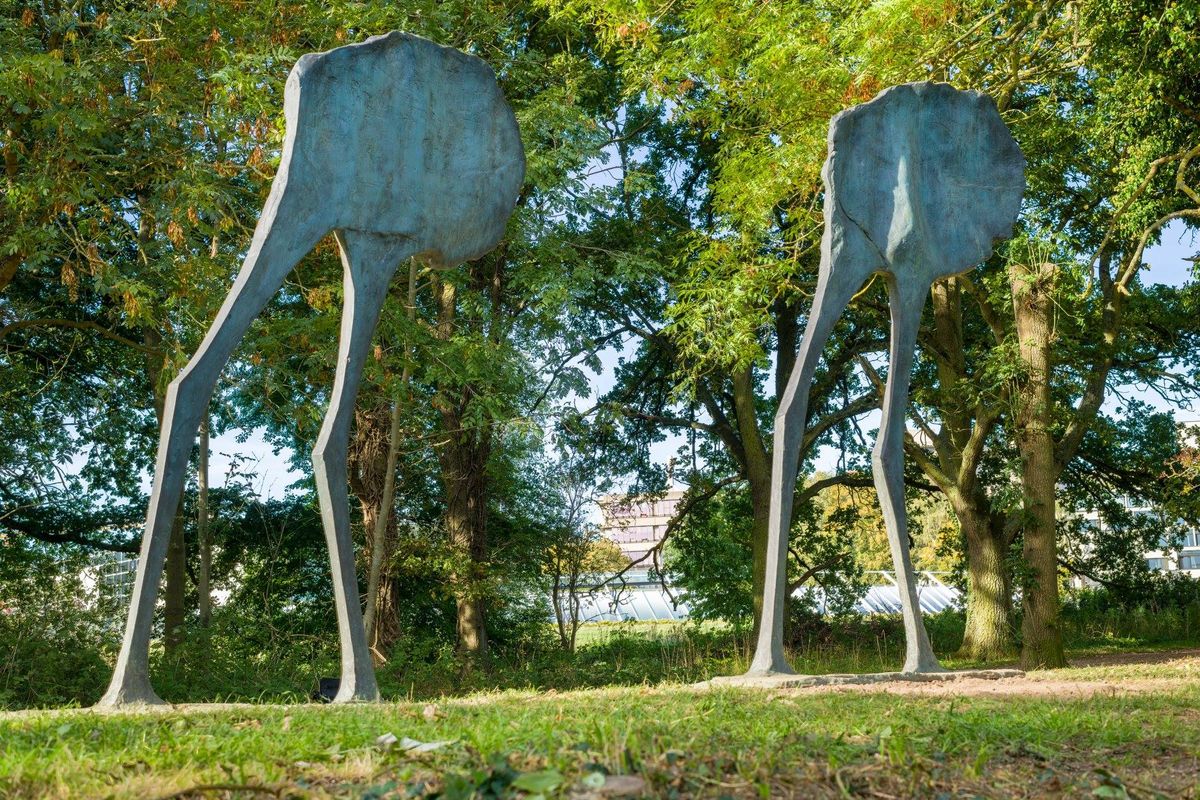 A pair of bronze sculptures, Mirage I and Mirage II, are on view in the Sainsbury Centre's sculpture park despite the UK lockdown Photo: Andy Crouch