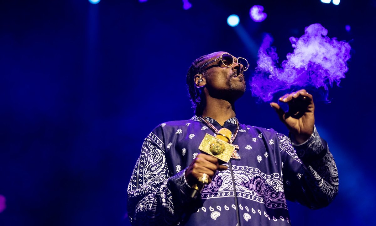 Artist's doobie-ous Snoop Dogg collaboration tokes in $148,100 at auction