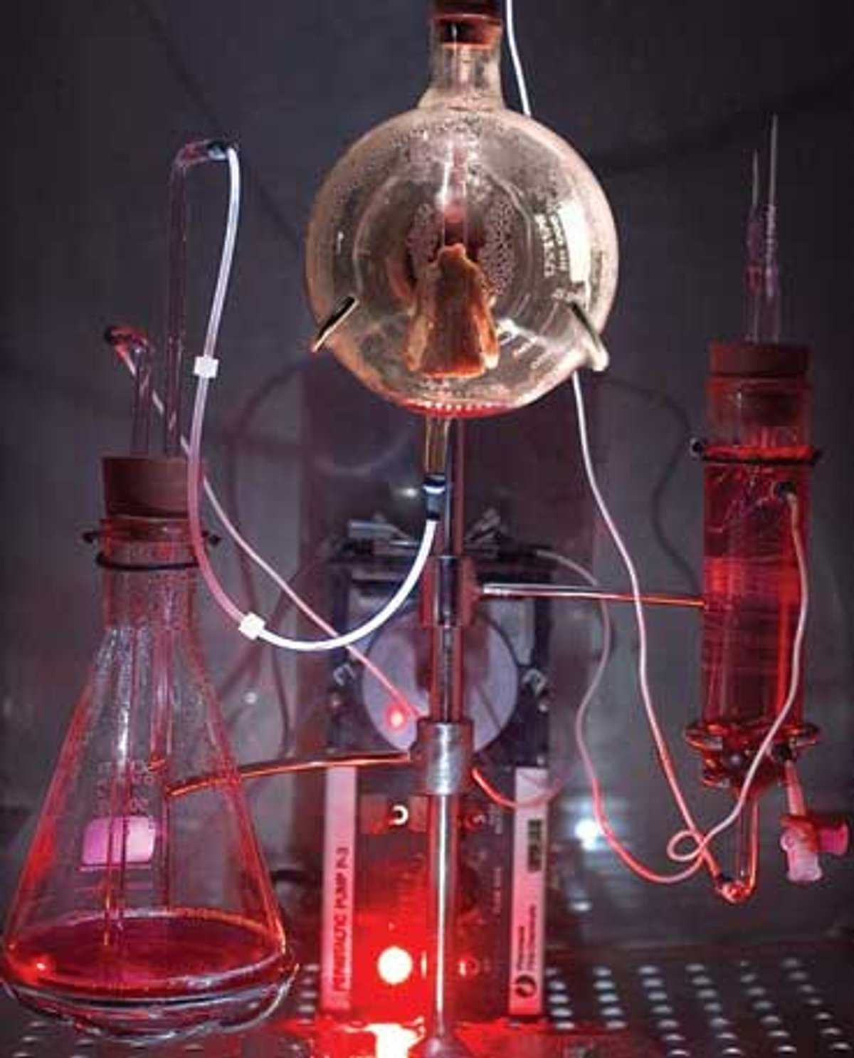 Tissue Culture & Art Project, Victimless Leather (2008)