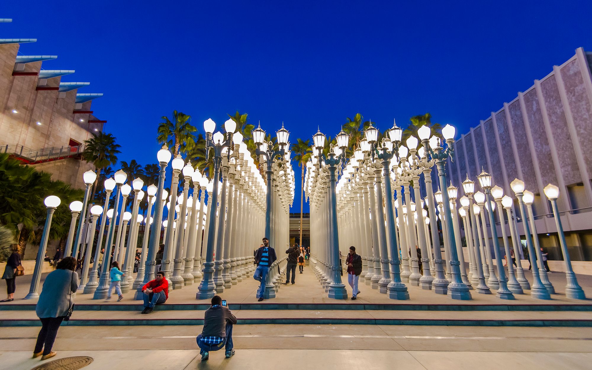 Bank of America conservation grants support work on Chris Burden's