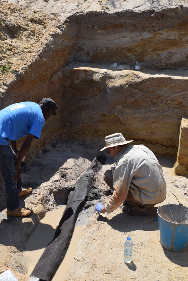 World’s oldest picket construction found in Zambia
