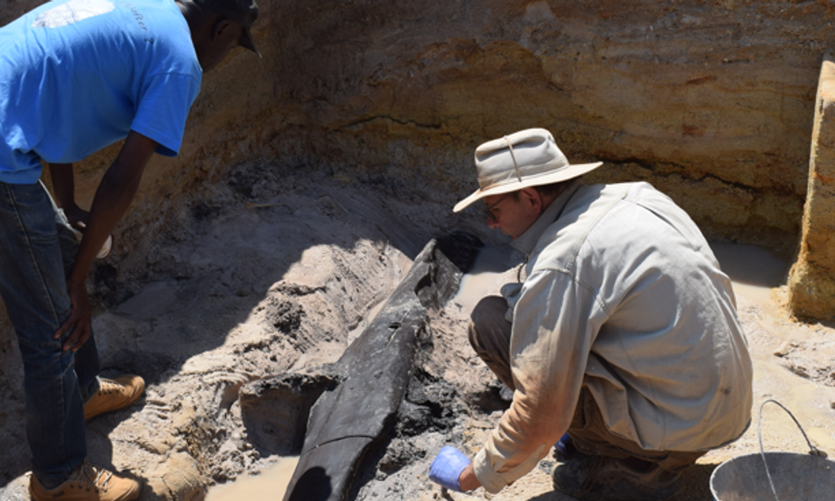 World’s oldest picket construction found in Zambia World’s oldest picket construction found in Zambia