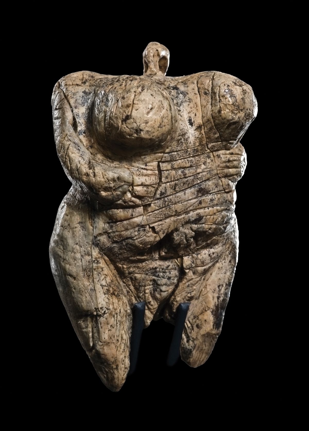 Exhibits include the 35,000-year-old Venus of Hohle Fels made from mammoth ivory © Urgeschichtliches Museum Blaubeuren, Photo: Johannes Wiedmann