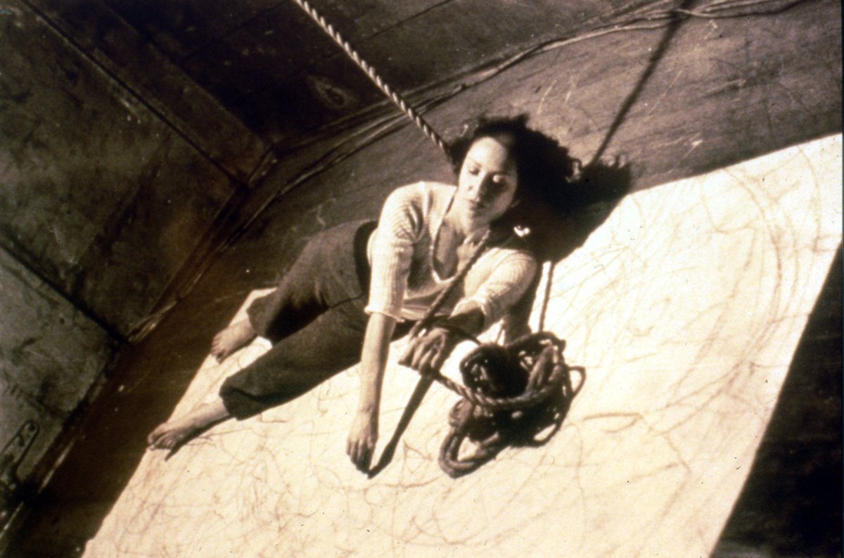 2017 Carolee Schneemann. Courtesy the artist, P.P.O.W, and Galerie Lelong, New York.