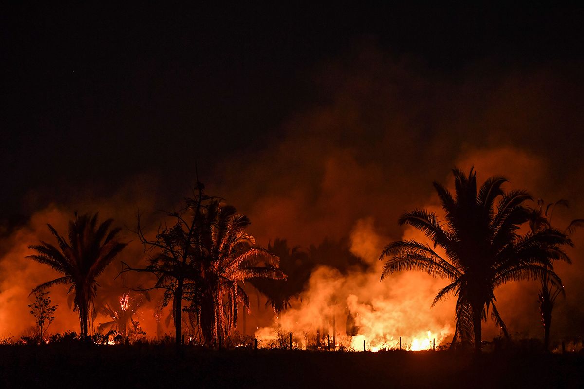 Brazil’s recent fires have claimed an estimated two million acres of Amazon rainforest Photo: Nelson Almeida/AFP via Getty Images