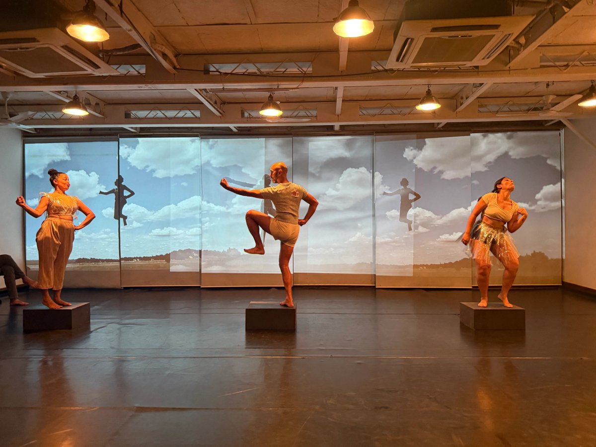 Hallucinations of an Artifact performed at Khuli Khirkee, New Delhi on 28 November 2024
Courtesy of Vivek Gupta