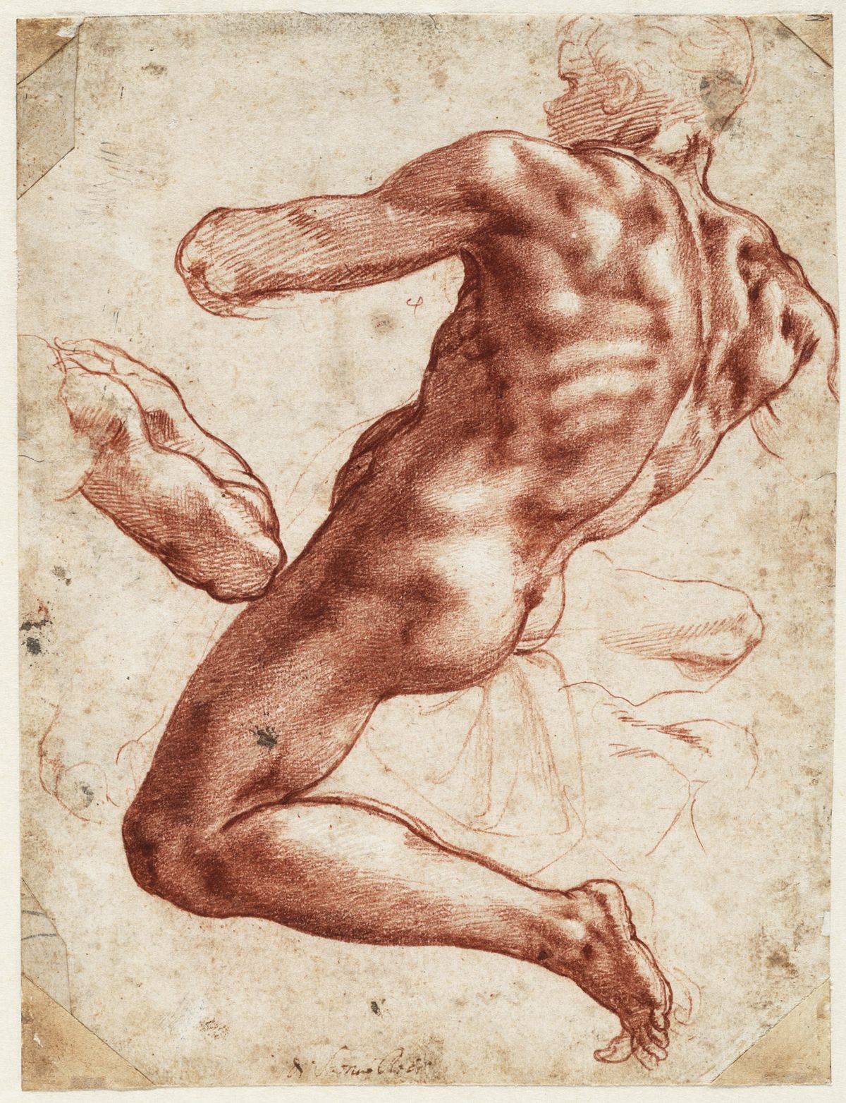 Seated Male Nude (1511) will be travelling to Cleveland and then Los Angeles from the Teylers Museum in Haarlem © Teylers Museum, Haarlem