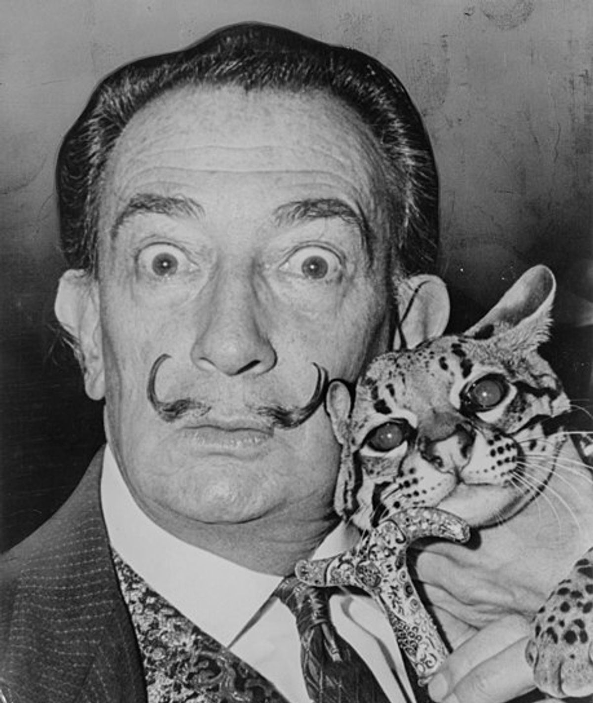 Wikimedia/Roger Higgins