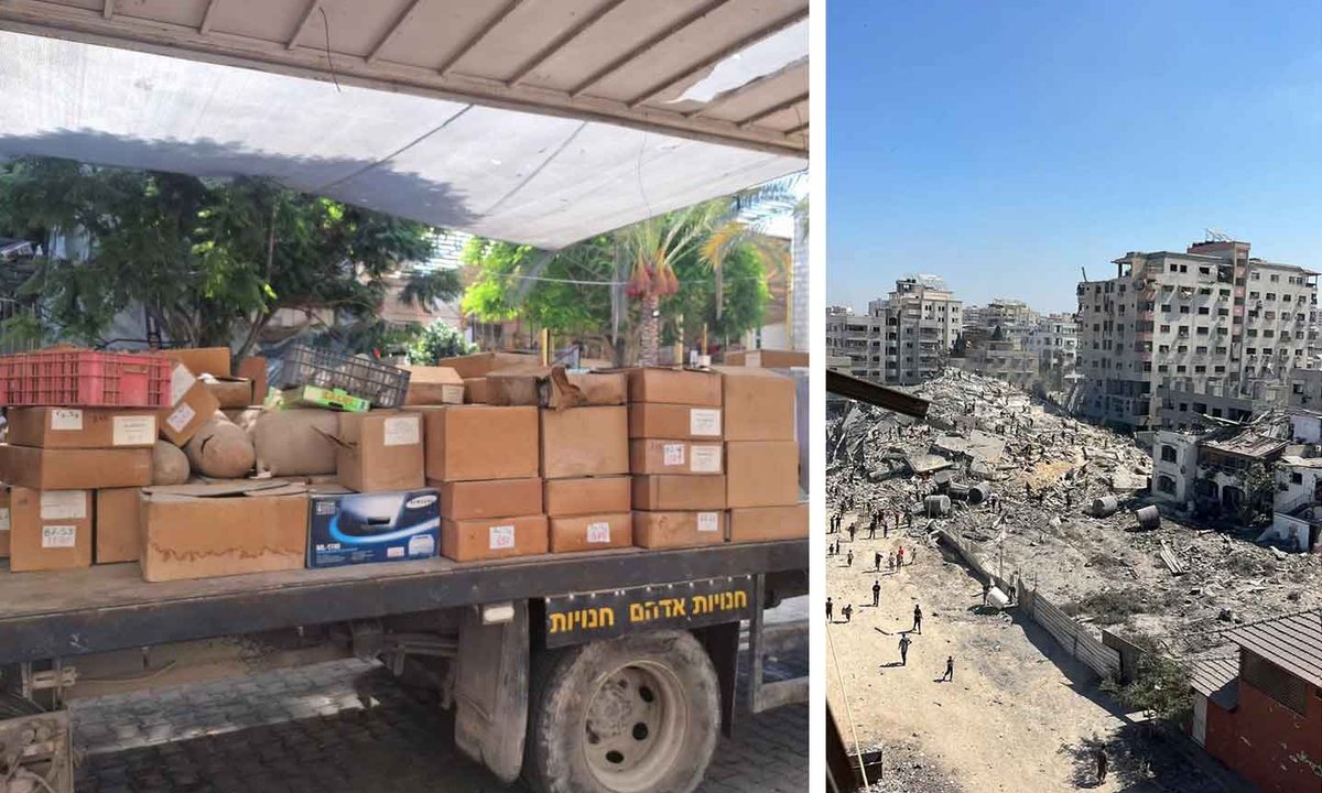 How one Swiss museum helped to evacuate thousands of Gaza artefacts ahead of an Israeli strike