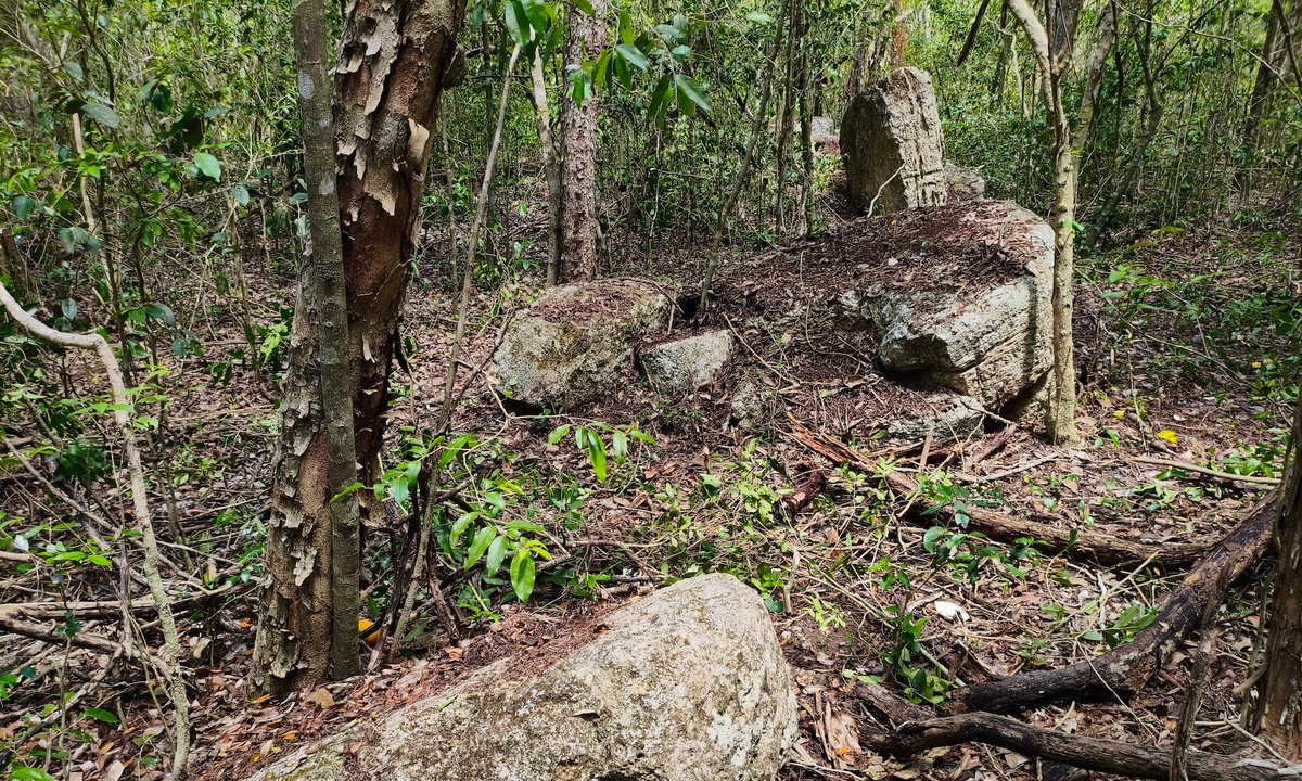 Undisturbed ancient Maya city discovered in Mexican jungle – The Art Newspaper Undisturbed ancient Maya city discovered in Mexican jungle – The Art Newspaper