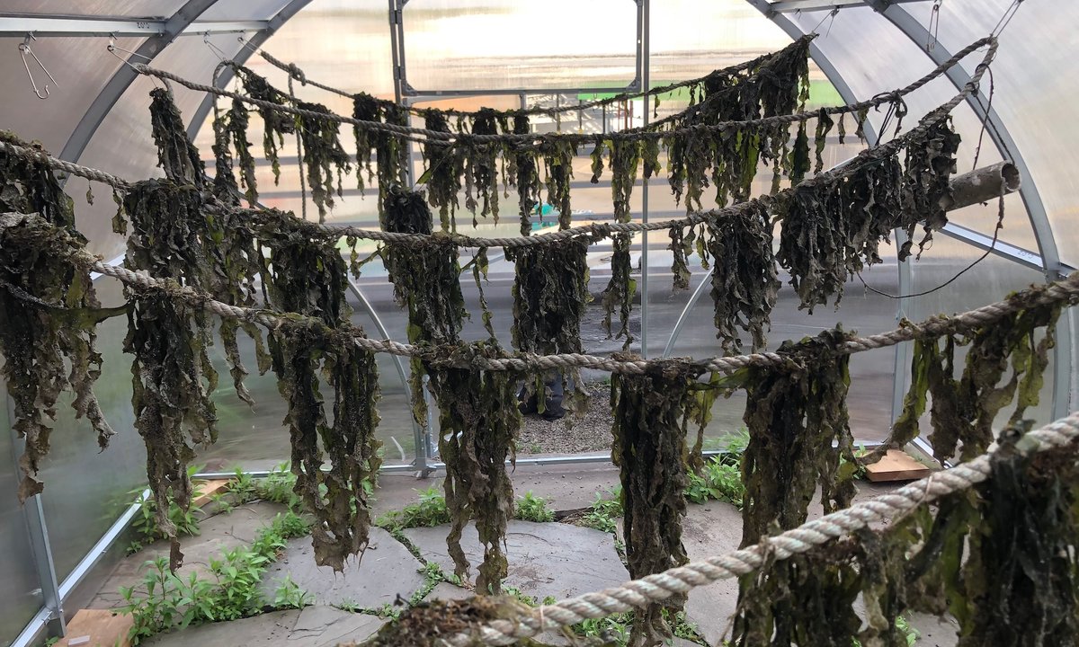 Environmental art projects led by women-identifying artists receive grants totalling 0,000 Environmental art projects led by women-identifying artists receive grants totalling 0,000