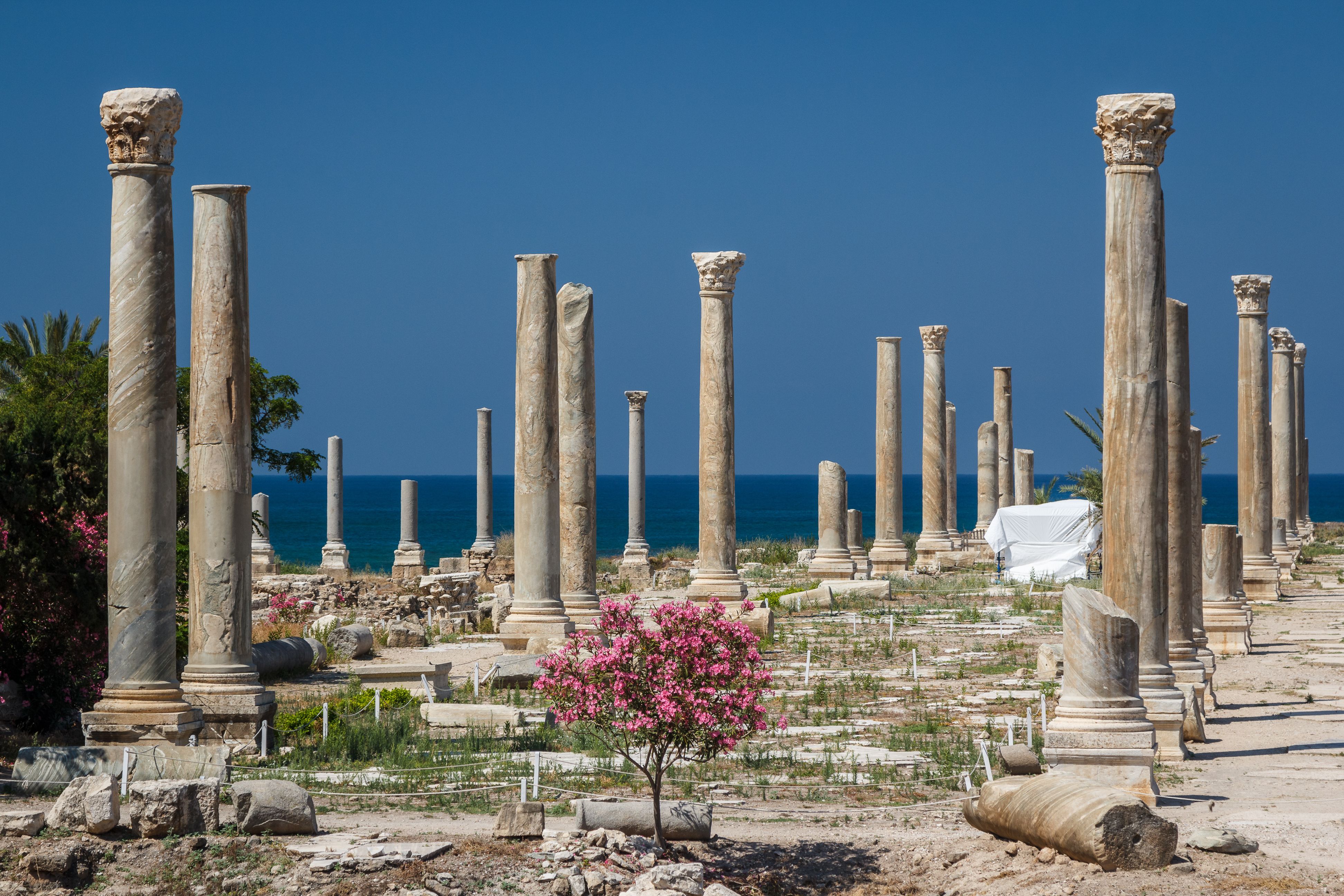 Unesco grants enhanced protection to 39 Lebanese heritage sites as war escalates