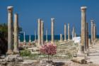 Unesco grants enhanced protection to 39 Lebanese heritage sites as war escalates