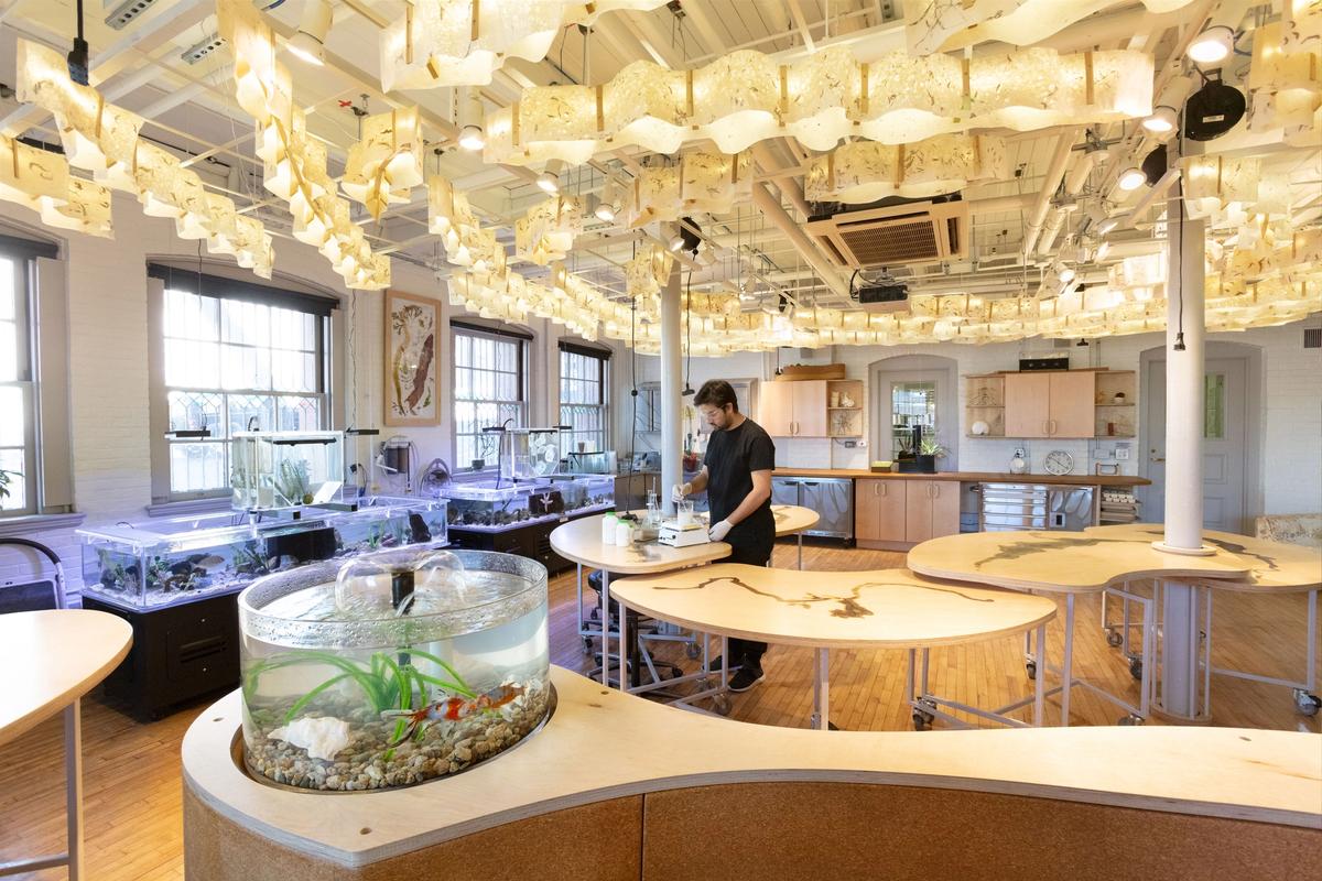 A student works in RISD's Biodesign Maker Space in the Edna W. Lawrence Nature Lab Photo: Matthew Clowney