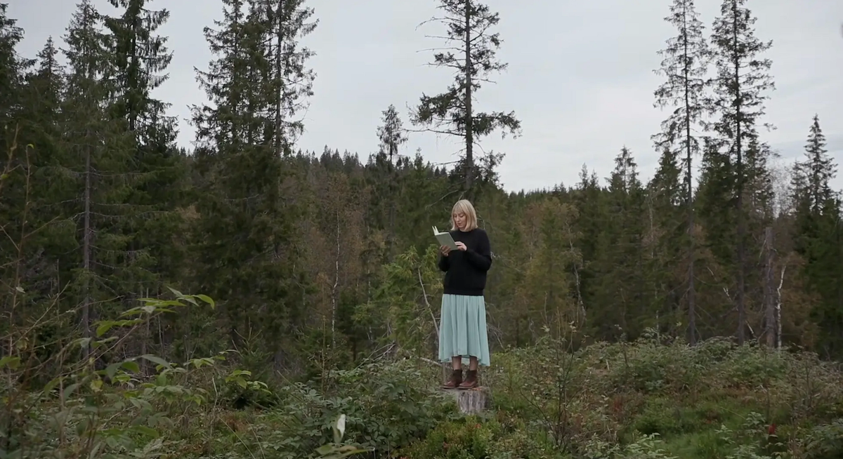 A still from Katie Paterson's film Future Library: a Century Unfolds