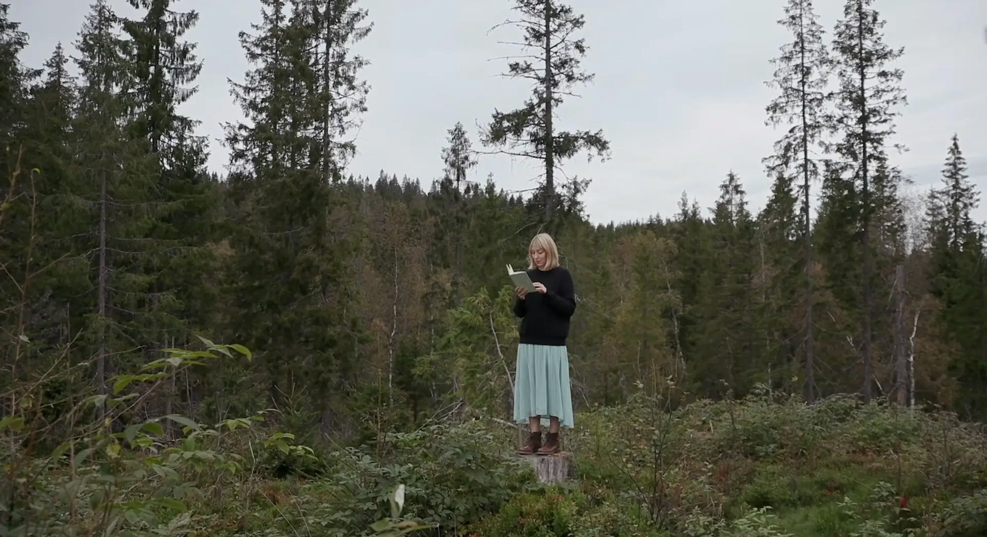 A still from Katie Paterson's film Future Library: a Century Unfolds 