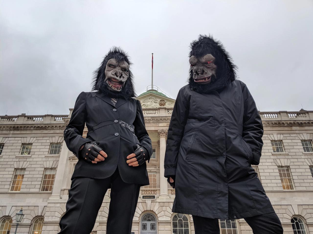 2020年1月，“游击女孩”(Guerrilla Girls)在伦敦萨默塞特宫(Somerset House)实地参观，拍摄“艺术之夜”照片:凯茜·巴克马斯特(Cathy Buckmaster);感谢艺术家和艺术之夜