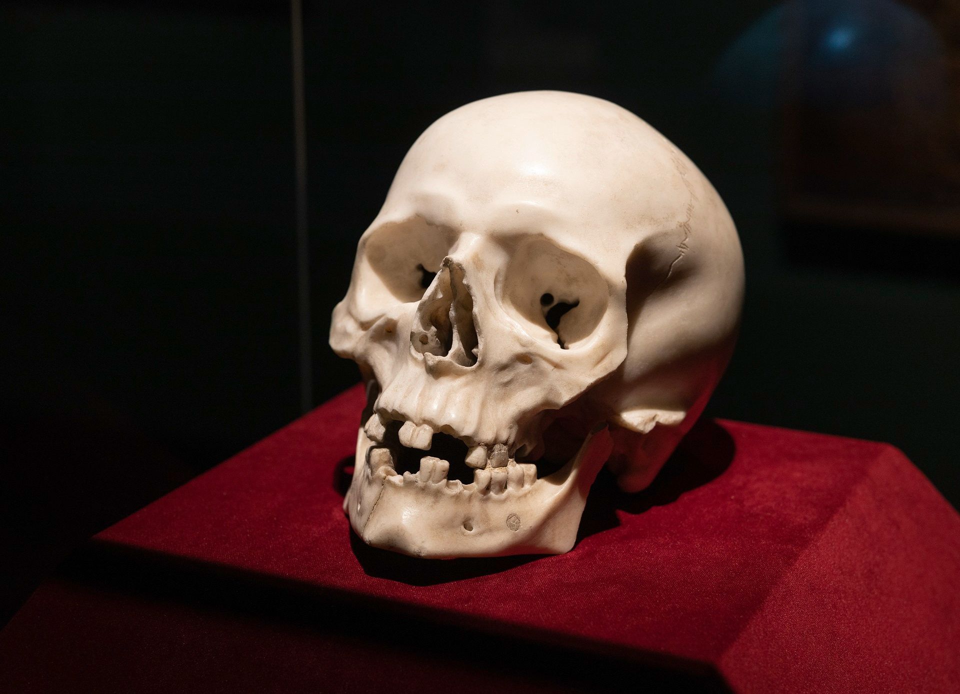 Gian Lorenzo Bernini's Skull (1655) © SKD; photo: Oliver Killig