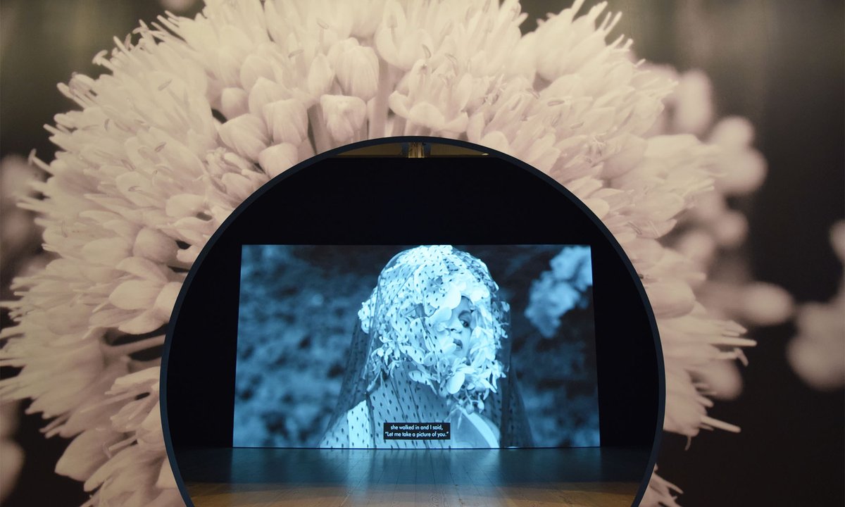 The 2024 Whitney Biennial in five key themes