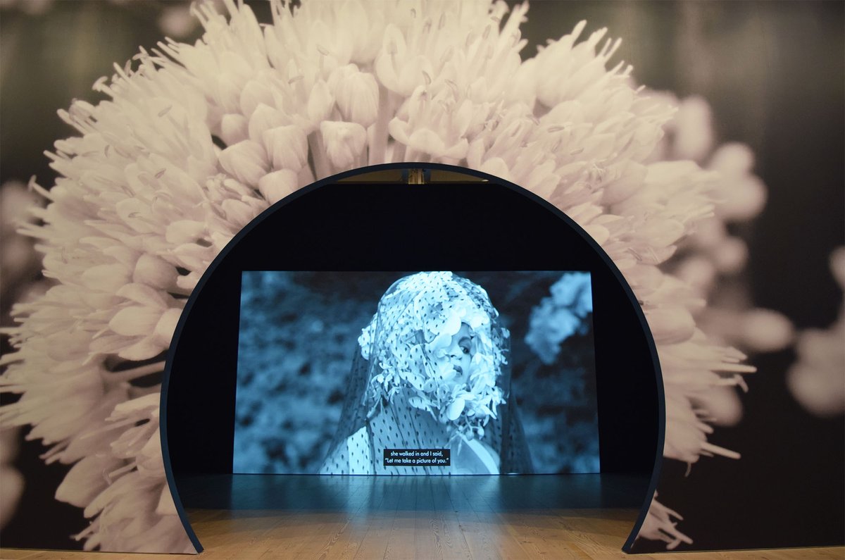 Tourmaline, Pollinator, 2022 Benjamin Sutton