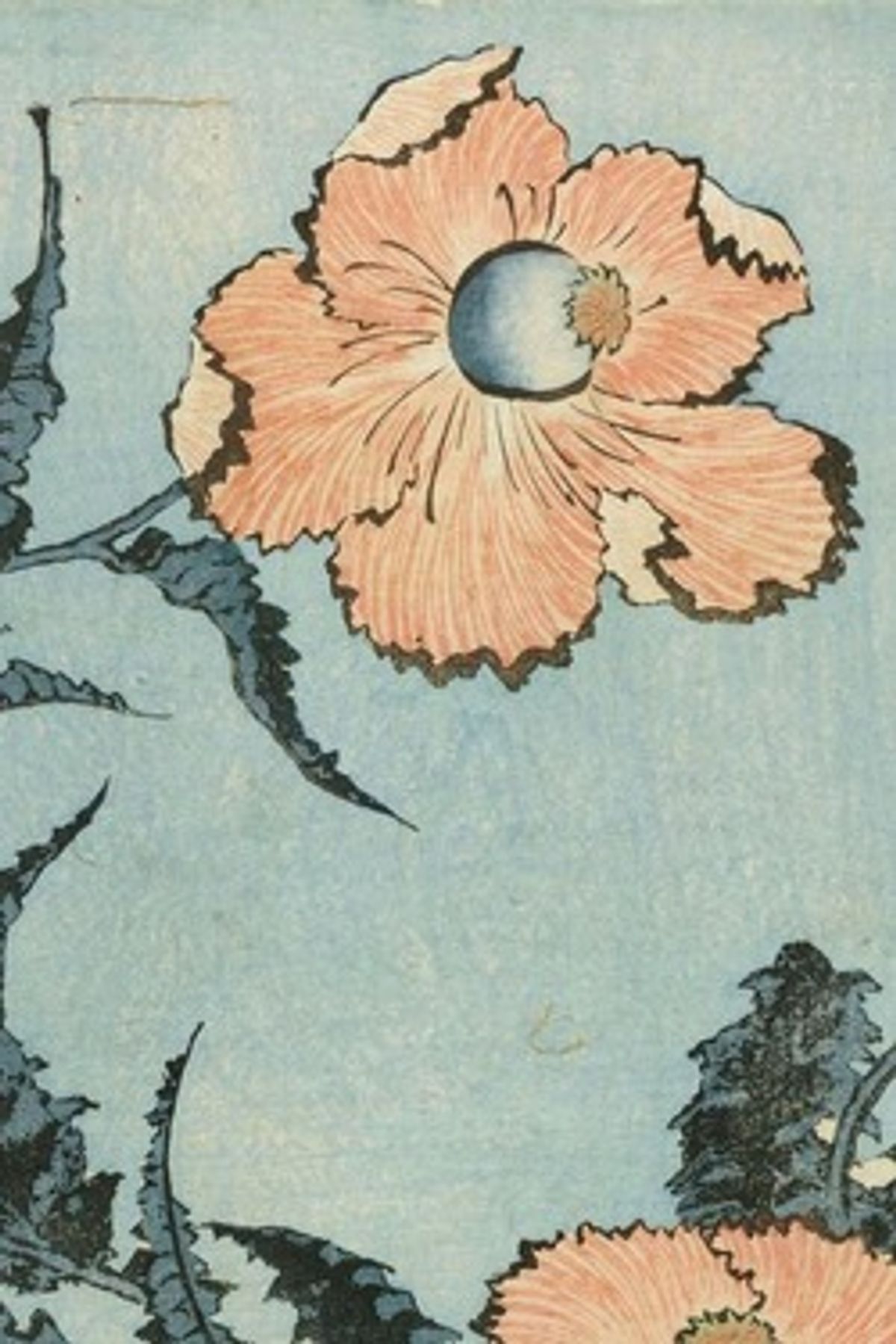 Detail of Poppies (1831-32) is one of Hokusai’s ten Large Flowers 