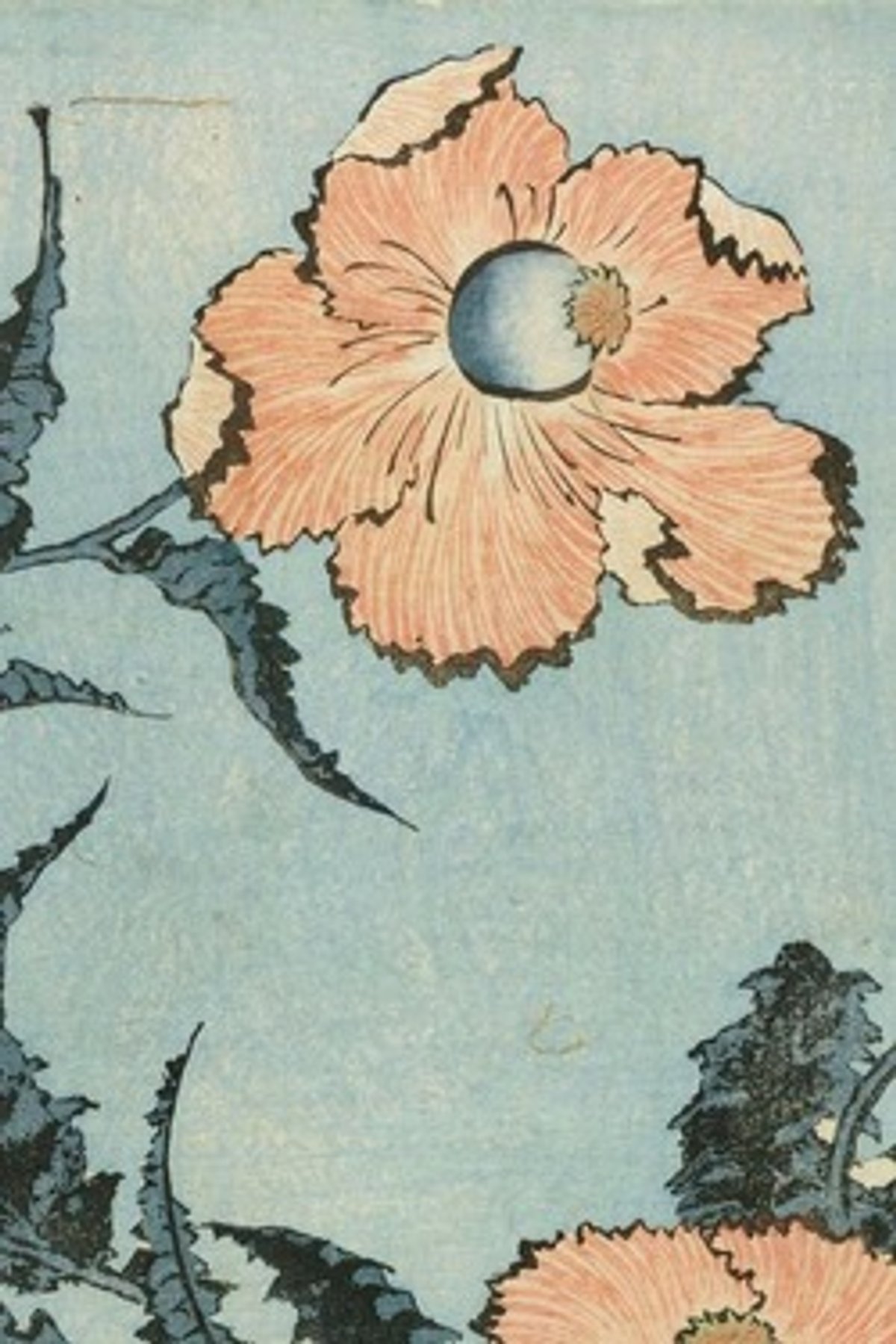 Detail of Poppies (1831-32) is one of Hokusai’s ten Large Flowers