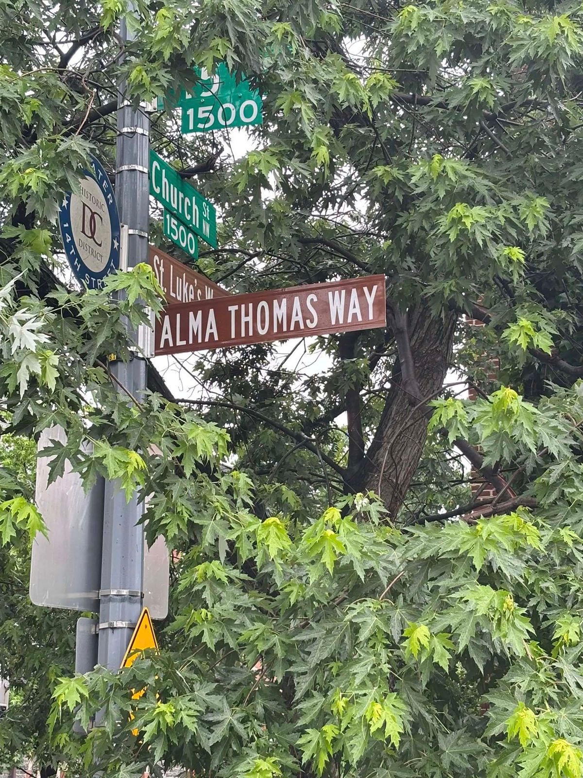 The new Alma Thomas Way sign on 15th Street NW in Washington, DC Via Councilmember Christina Henderson/Facebook