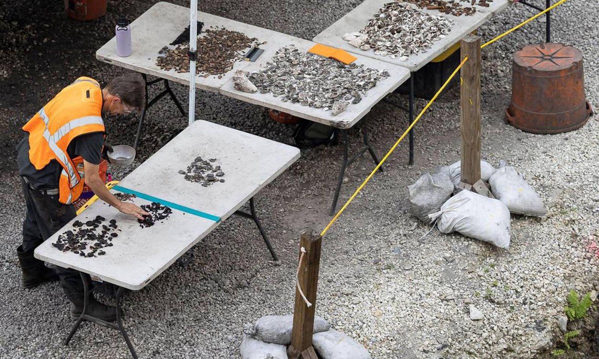 Miami’s ancient Indigenous sites face an uncertain future – The Art Newspaper Miami’s ancient Indigenous sites face an uncertain future – The Art Newspaper