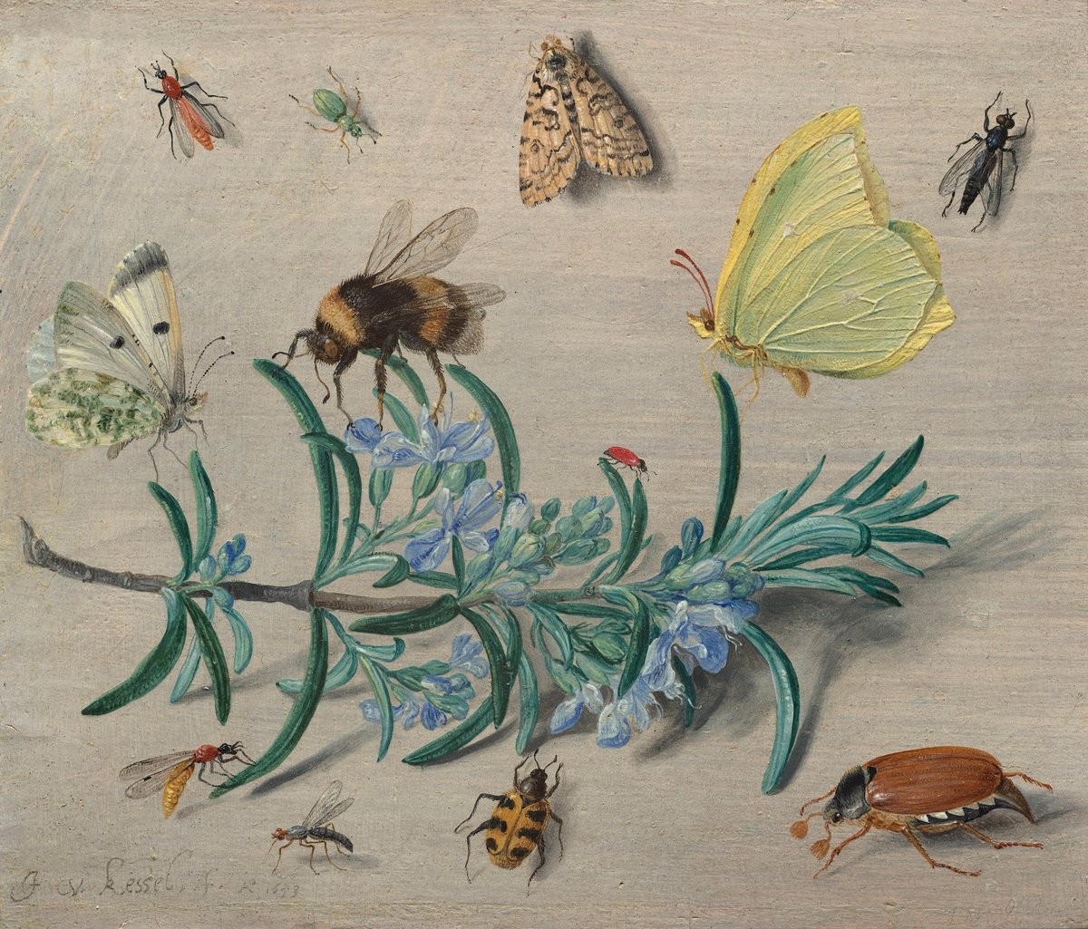 Jan van Kessel, Insects and a Sprig of Rosemary, 1653 Courtesy the National Gallery of Art, Washington, DC