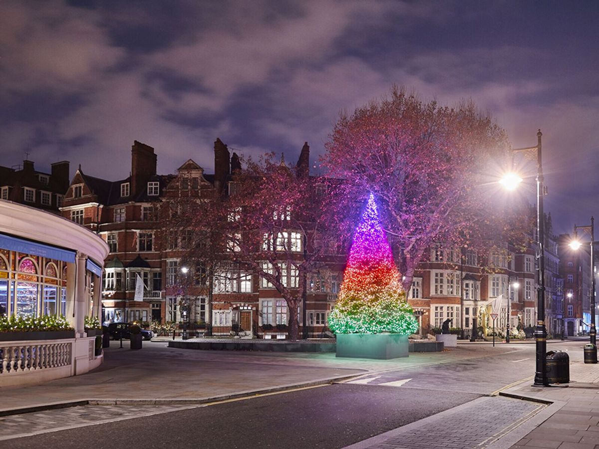 The Connaught Christmas Tree 2018 Courtesy of the Connaught