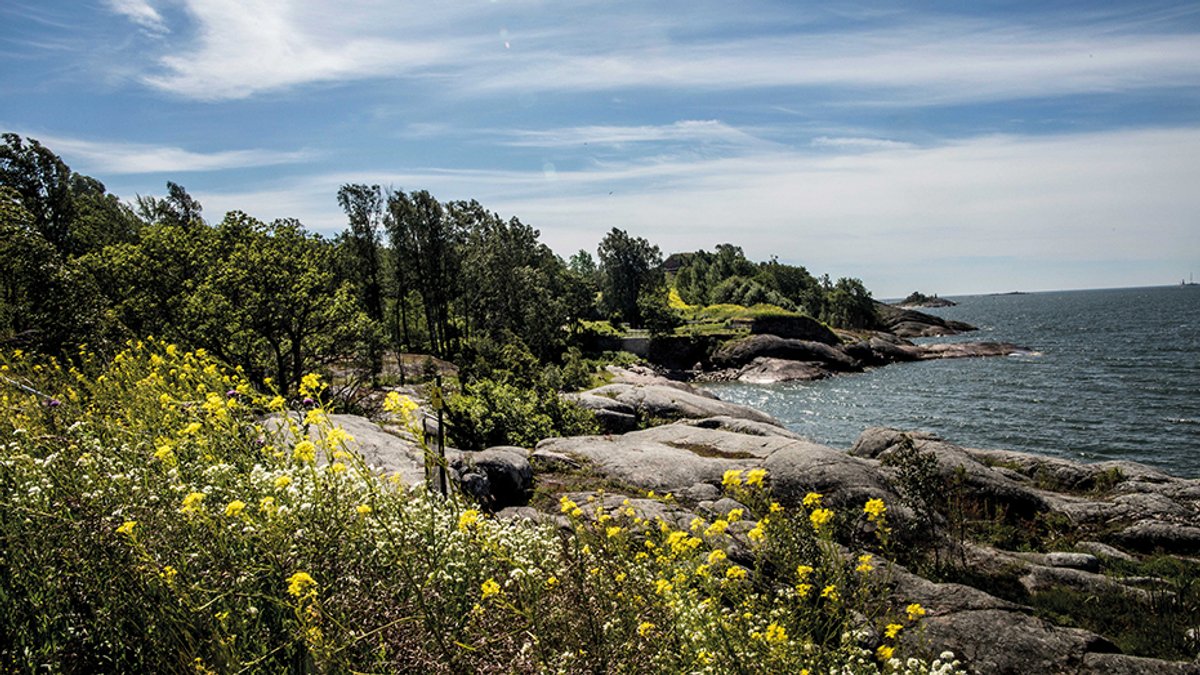 The island of Vallisaari, a former military base, will host the inaugural Helsinki Biennial, which will focus on conservation © Matti Pyykkö