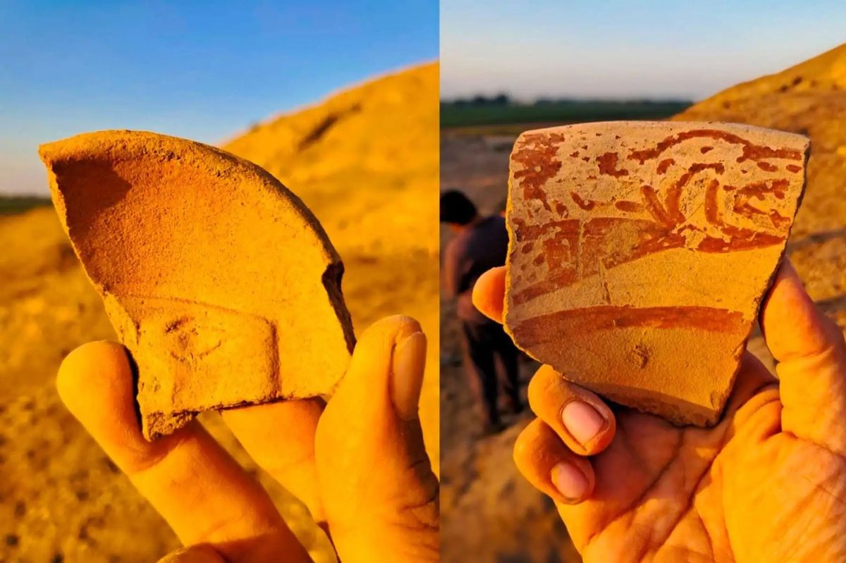 Archaeologists at the Cerro Mayal site in Peru's La Libertad region have identified ceramic production waste and other materials linked to Moche pottery workshops that were active the seventh century Courtesy Universidad Nacional Mayor de San Marcos/Programa Arqueológico Chicama