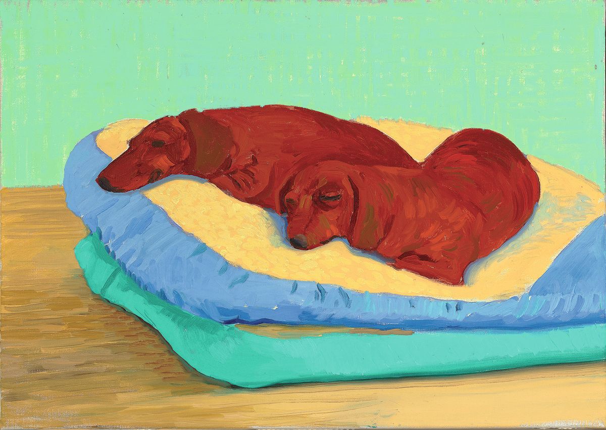 David Hockney’s Dog Painting 19 (1995), one of hundreds the artist created of his beloved dachshunds
Courtesy the artist
