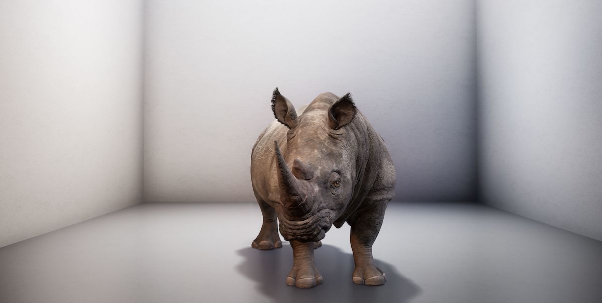 The Substitute (2019) by Alexandra Daisy Ginsberg, a CG animation and visualisation of the extinct male northern white rhino created by The Mill, with behavior based on research by DeepMind. Cooper Hewitt