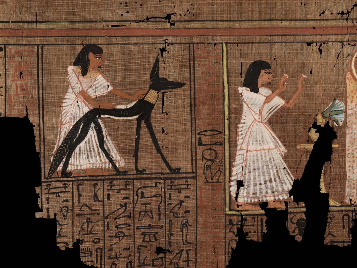 The vignette of Spell 117, showing the papyrus owner Ramose with the jackal god Wepwawet. The white correction fluid can be seen on either side of the jackal’s body and on the front of the thighs of its back legs

Photo: © The Fitzwilliam Museum, University of Cambridge