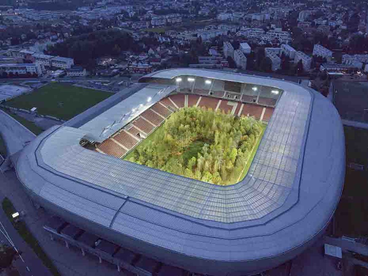For Forest consists of a grove of 300 trees, each weighing up to six tons, temporarily transplanted into the Wörthersee football stadium in Klagenfurt, Austria © Littmann. Photo Unimo