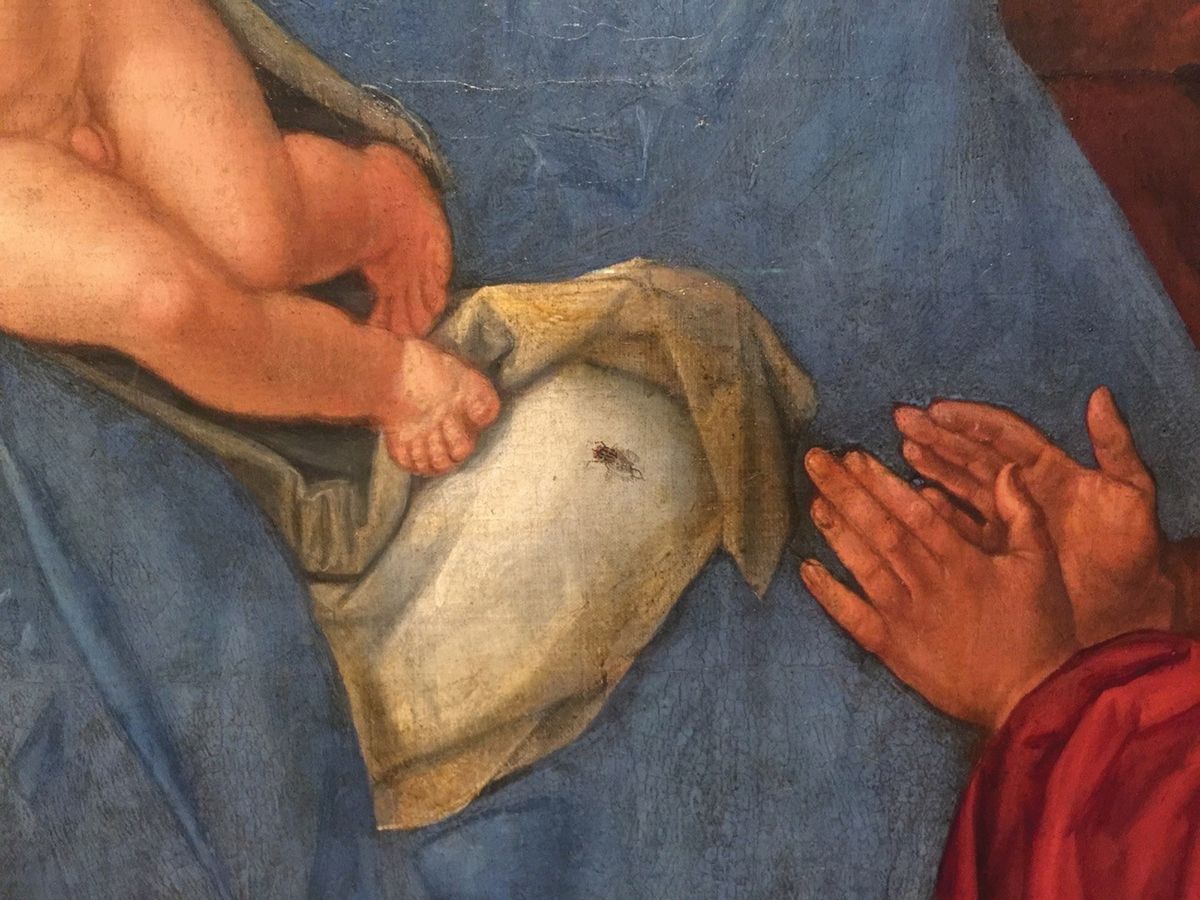 Trompe l’oeil: the fly is depicted on the Dürer work as if it is on the painting, rather than part of the scene Kunsthistorisches Museum, Vienna