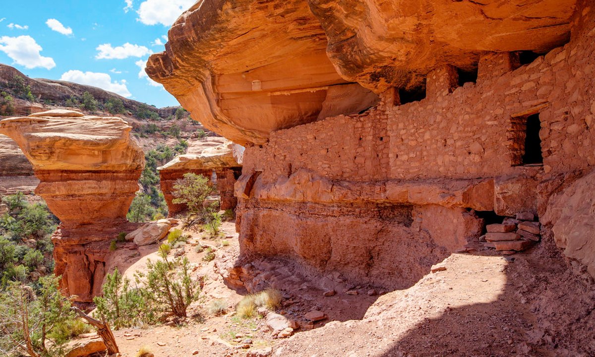 Indigenous tribes will co-manage Utah’s long-contested Bears Ears National Monument