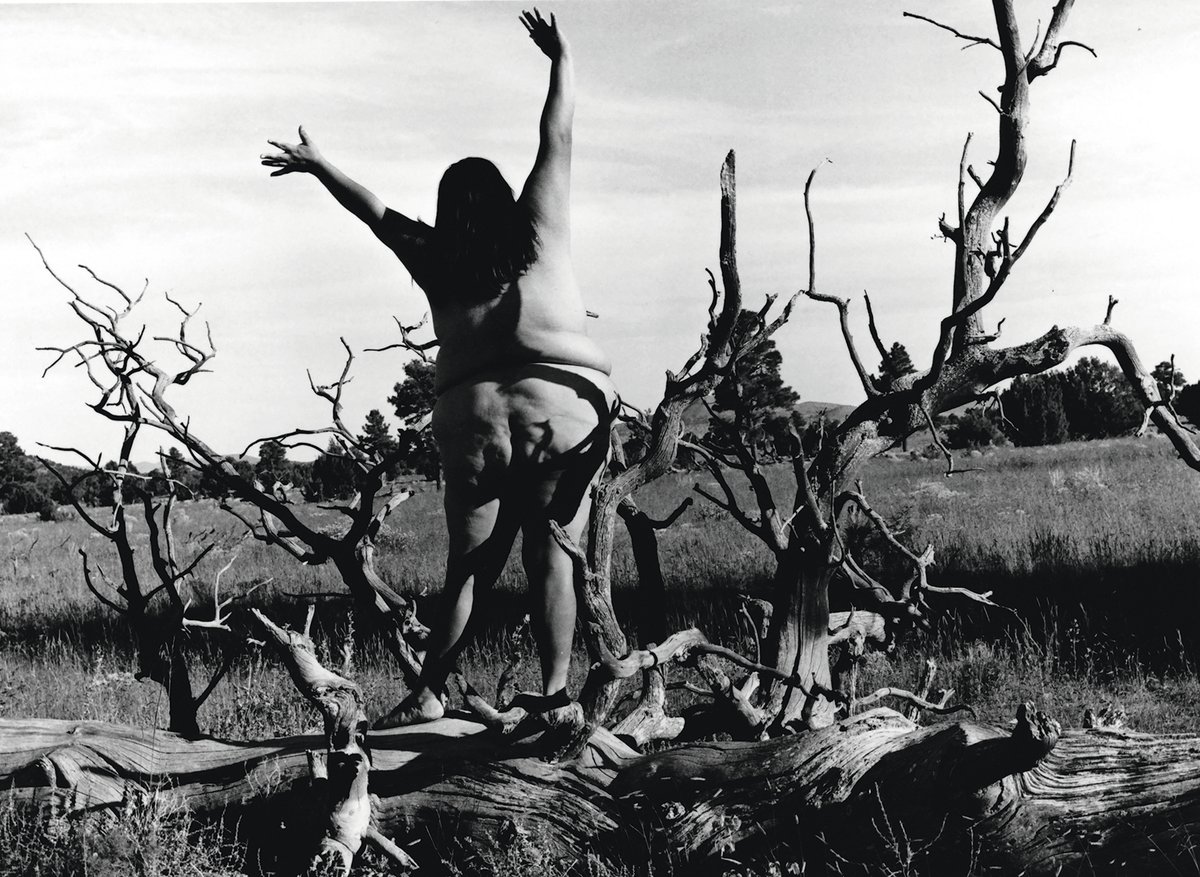 In her series Nature Self-Portrait #5 (1996), Laura Aguilar, a Chiquana LGBTQ artist, is seen intertwined with boulders and branches
© Laura Aguilar Trust of 2016