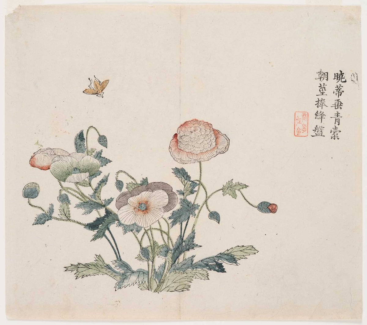 Pretty, but deadly: an illustration of poppies, from which opium comes, from an 18th-century Chinese woodblock printed book

Photo: © President and Fellows of Harvard College; courtesy of the Harvard Art Museums


