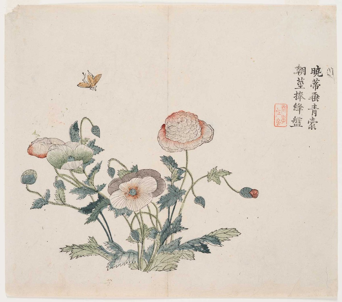 Pretty, but deadly: an illustration of poppies, from which opium comes, from an 18th-century Chinese woodblock printed book
Photo: © President and Fellows of Harvard College; courtesy of the Harvard Art Museums
