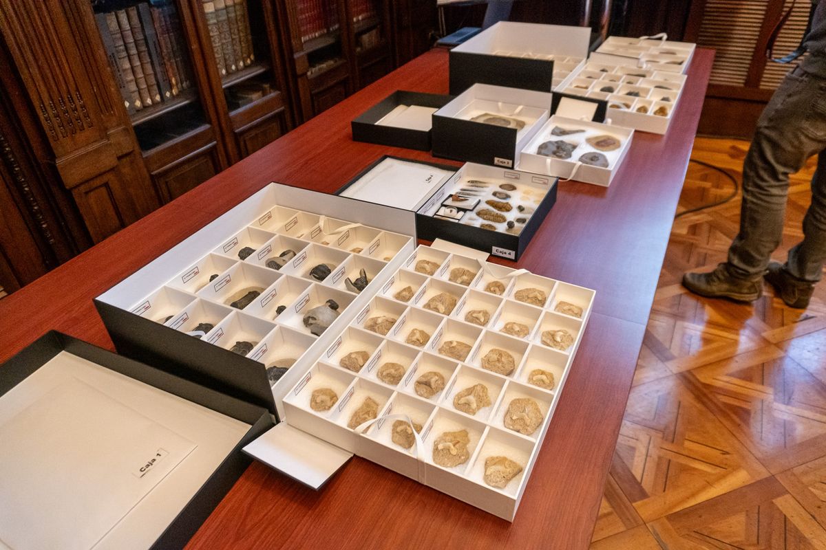 Prehistoric artefacts from Morocco displayed on a table at the repatriation ceremony in Santiago, Chile Courtesy the National Monuments Council, Chile