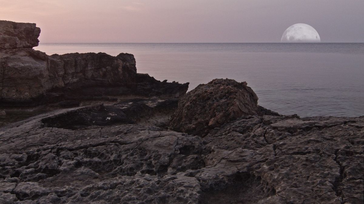 Film still from Amalie Smith's Clay Theory (2019) Courtesy the artist